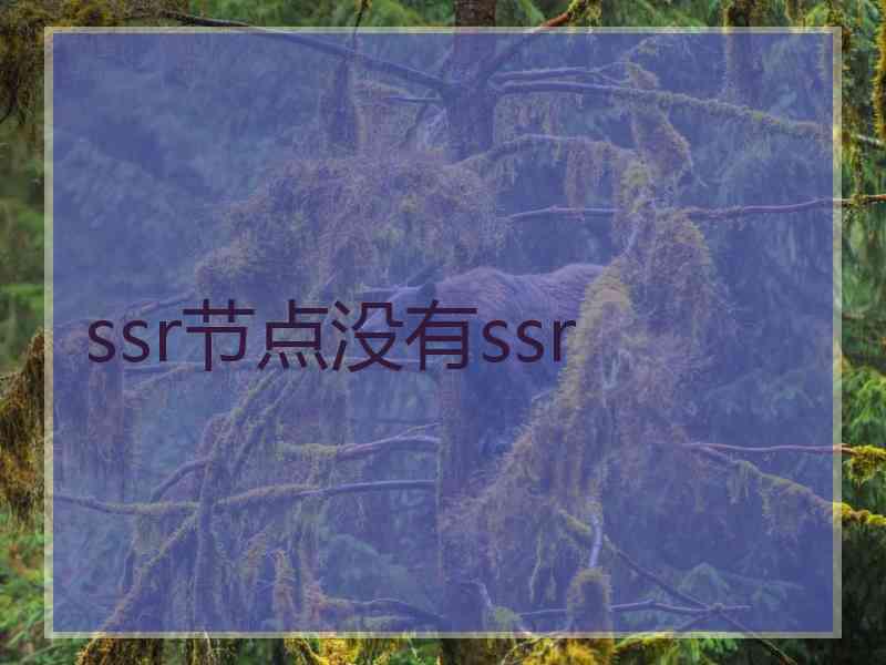 ssr节点没有ssr