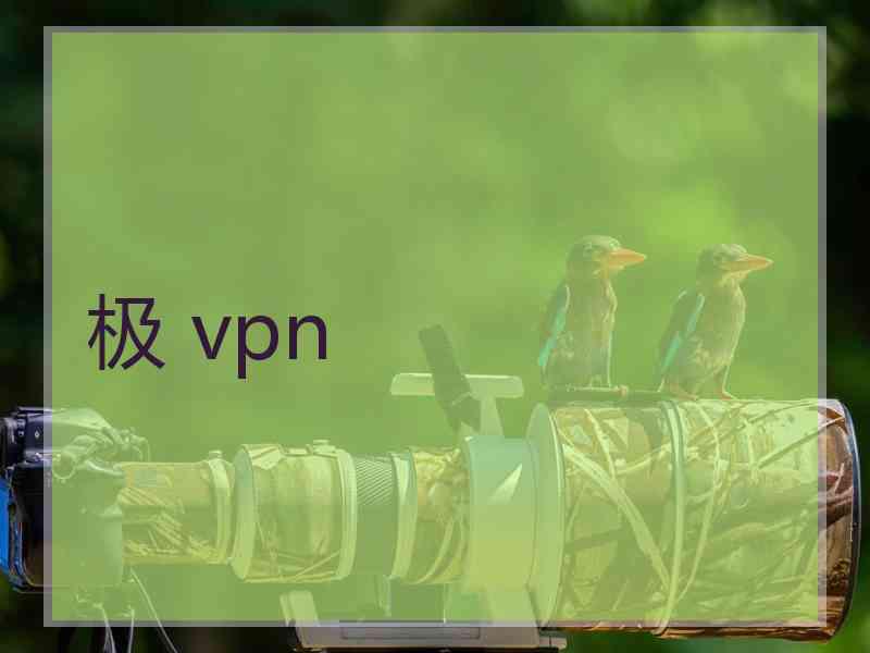 极 vpn