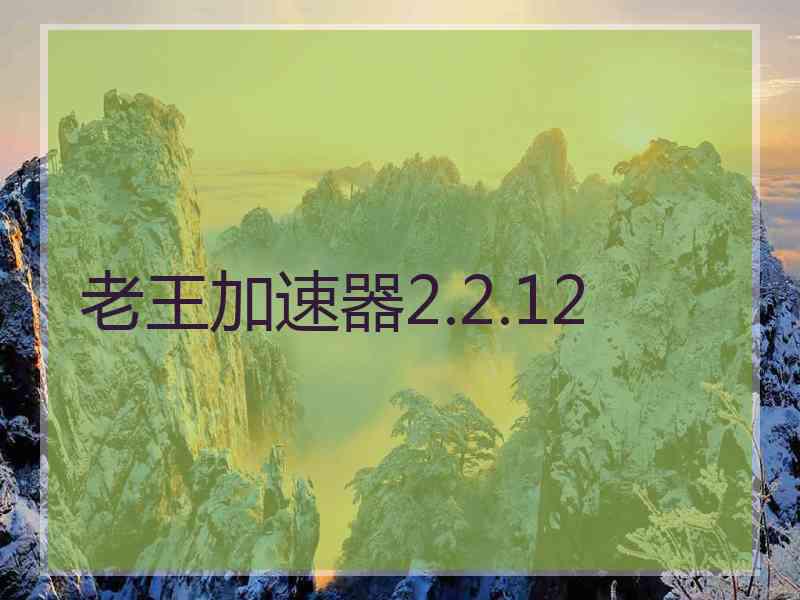 老王加速器2.2.12