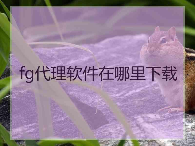 fg代理软件在哪里下载