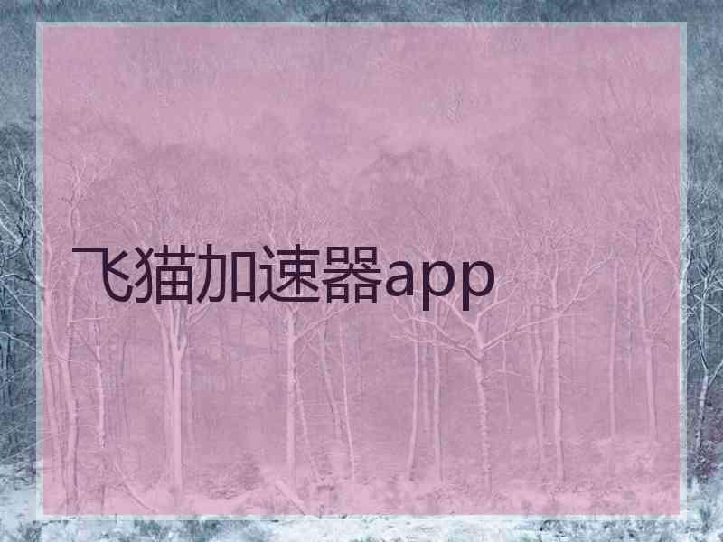 飞猫加速器app