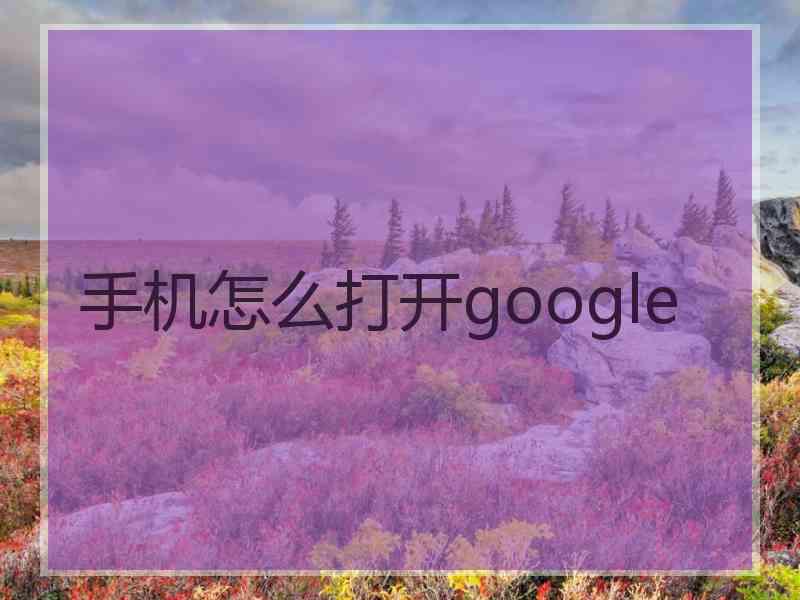 手机怎么打开google