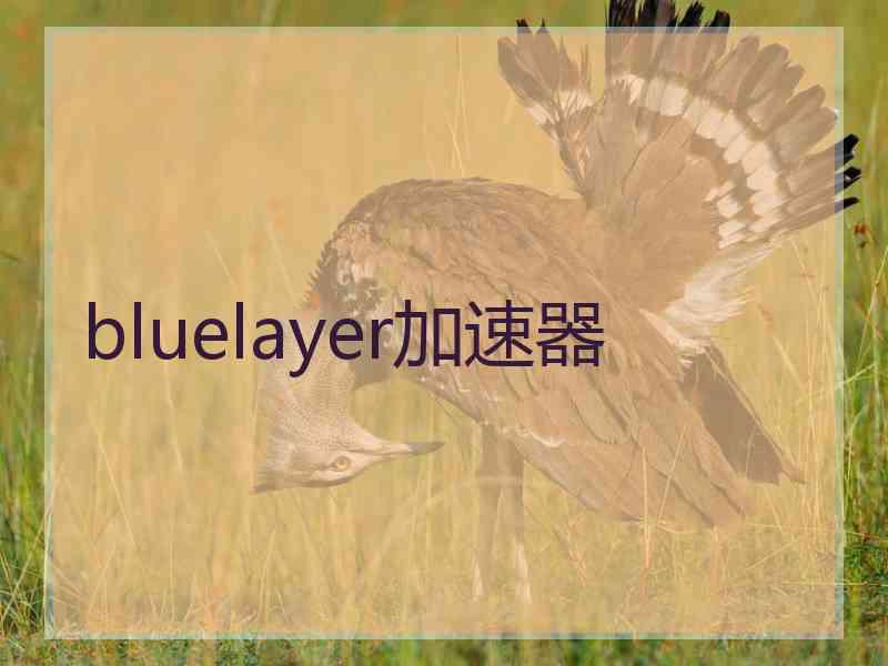 bluelayer加速器