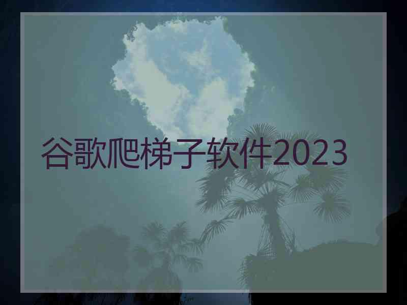 谷歌爬梯子软件2023