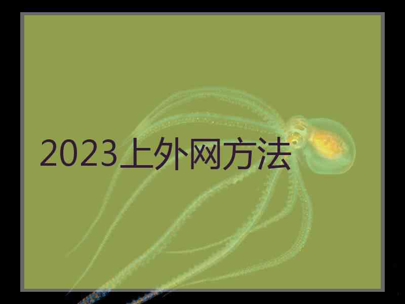 2023上外网方法