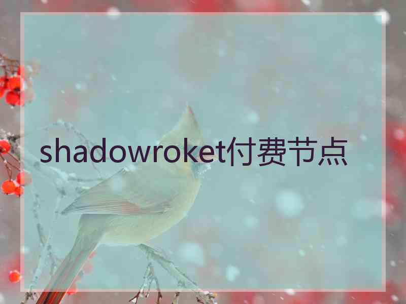 shadowroket付费节点