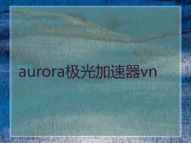 aurora极光加速器vn