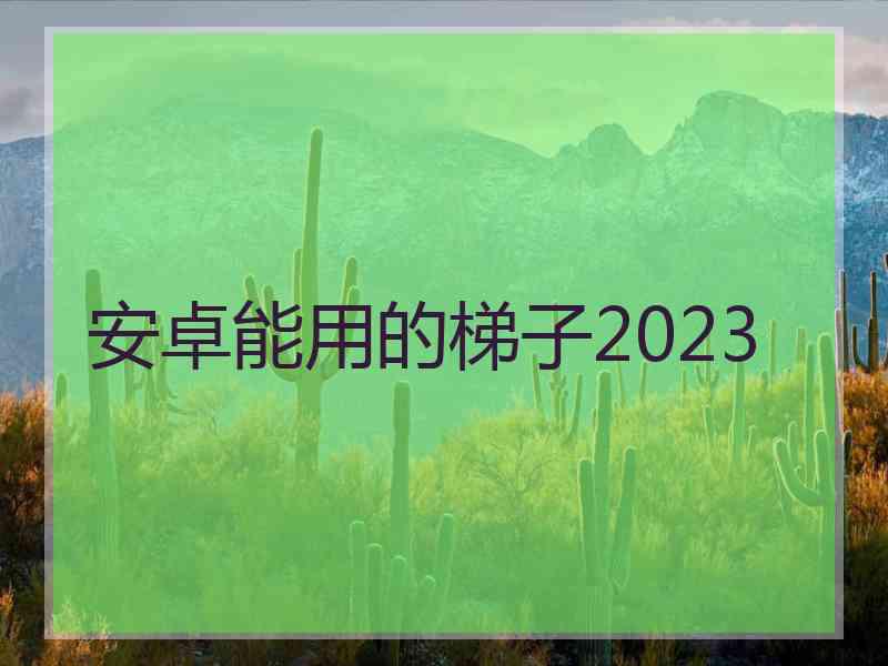 安卓能用的梯子2023