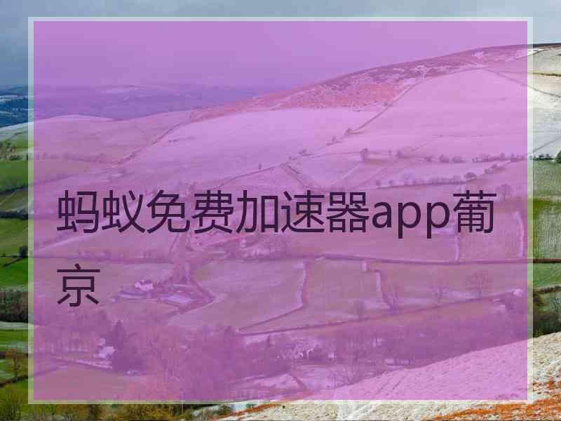 蚂蚁免费加速器app葡京