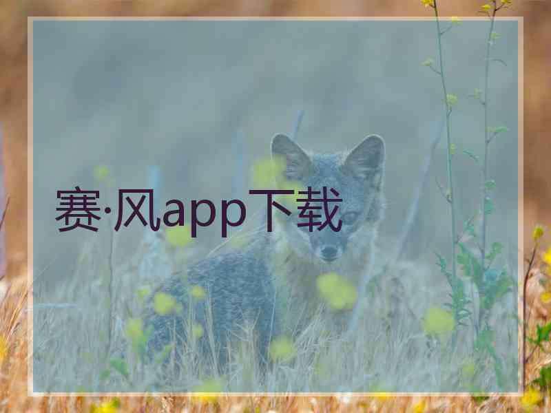 赛·风app下载