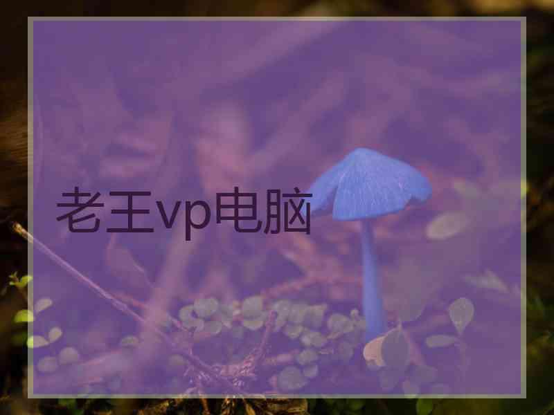 老王vp电脑