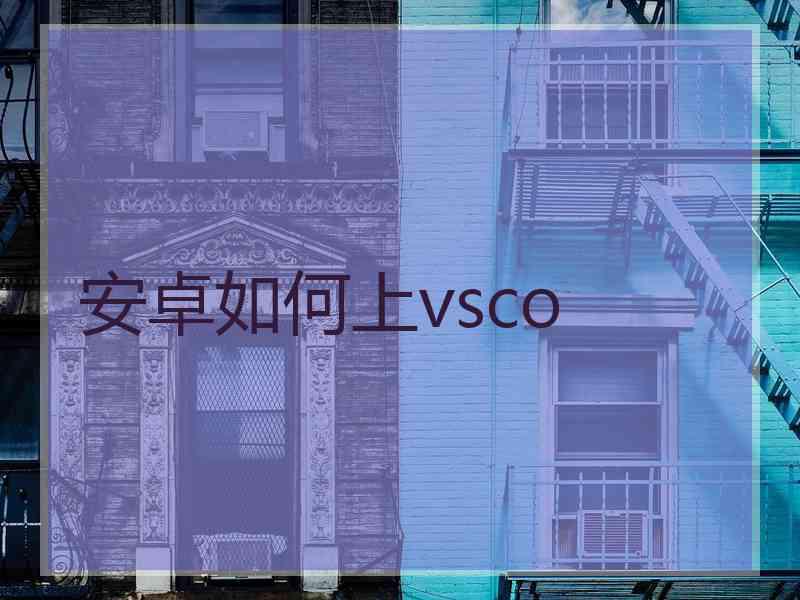 安卓如何上vsco