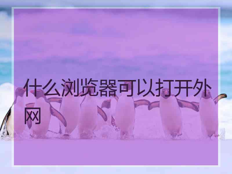 什么浏览器可以打开外网