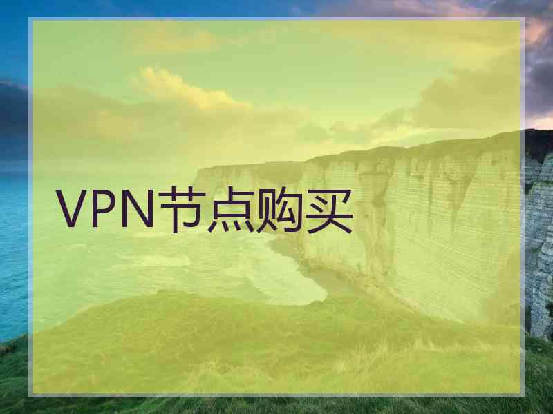 VPN节点购买