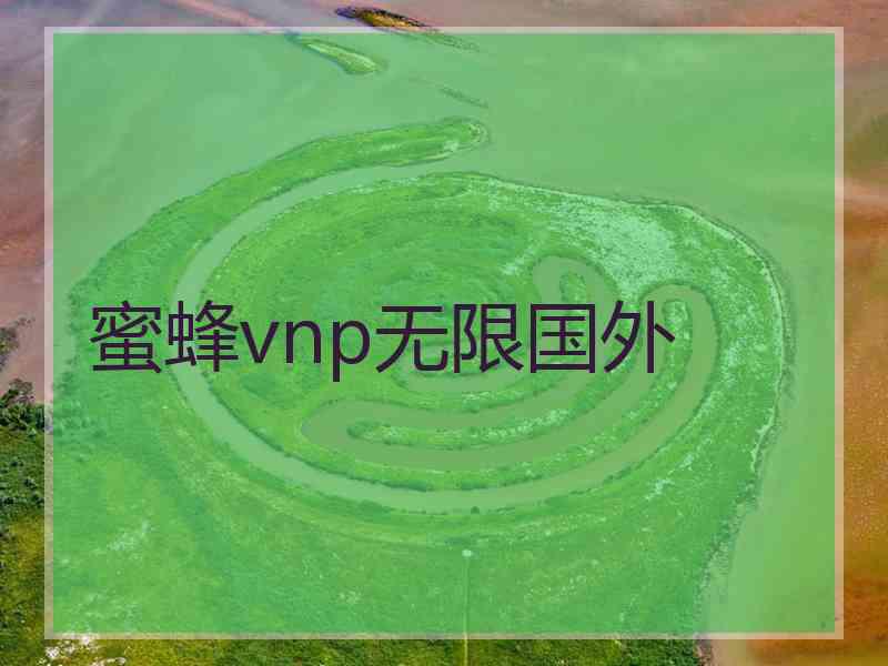 蜜蜂vnp无限国外