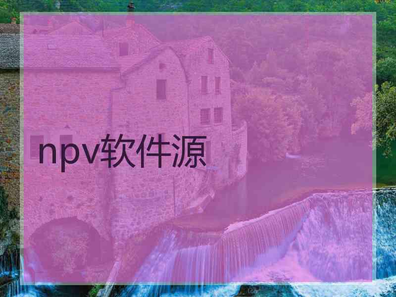 npv软件源