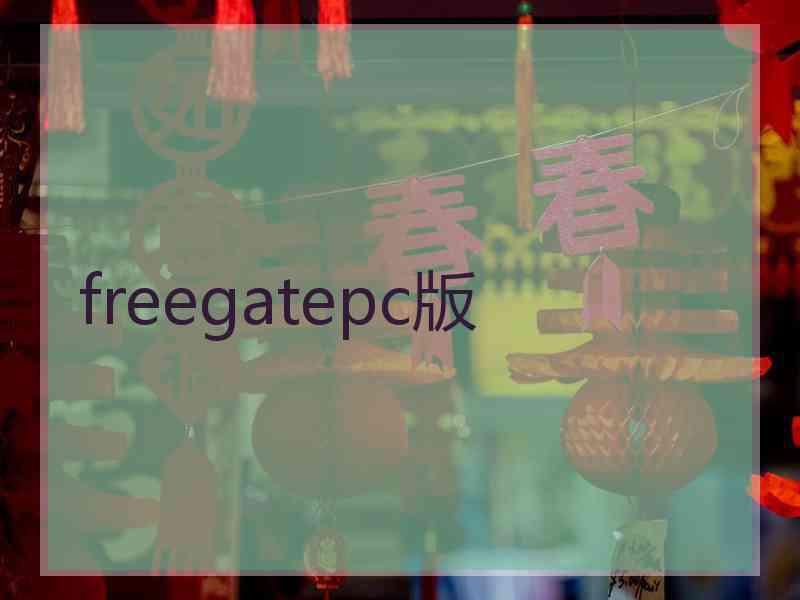 freegatepc版