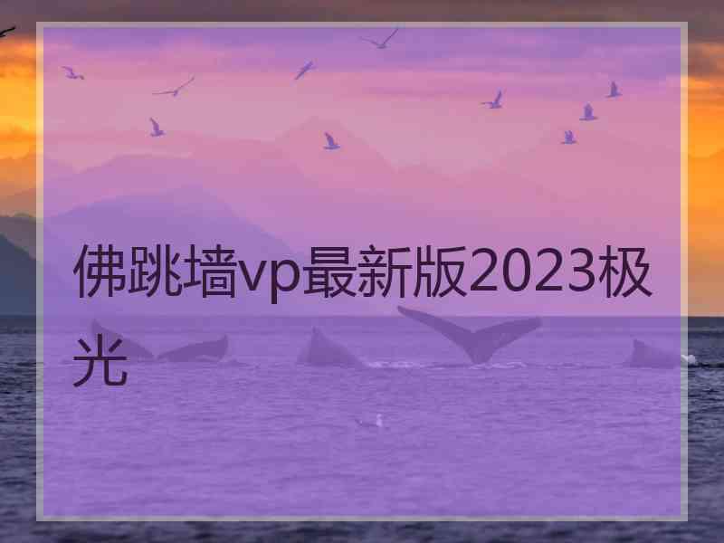 佛跳墙vp最新版2023极光