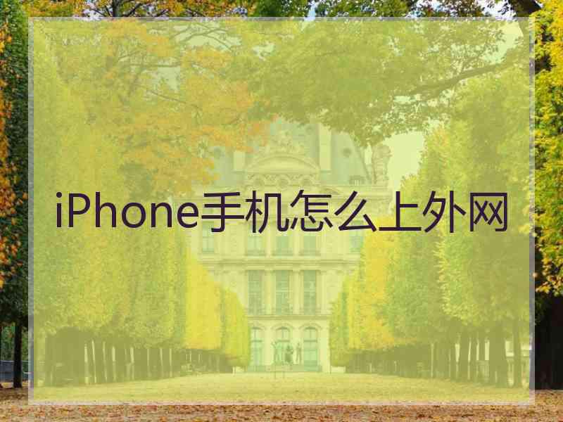 iPhone手机怎么上外网