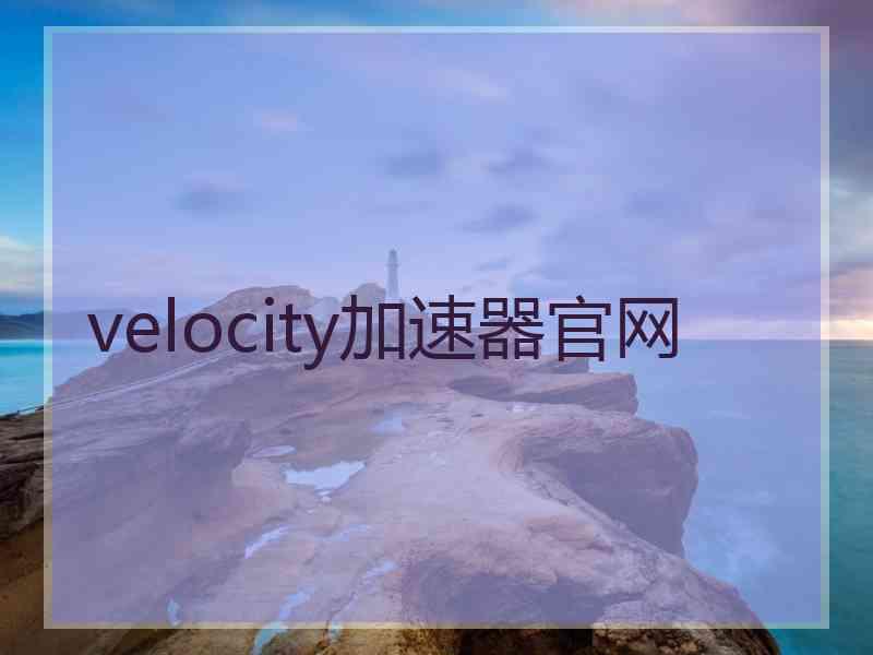 velocity加速器官网