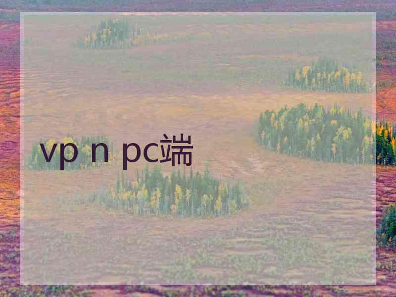 vp n pc端