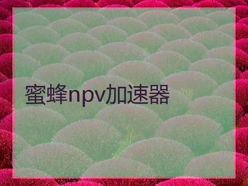 蜜蜂npv加速器