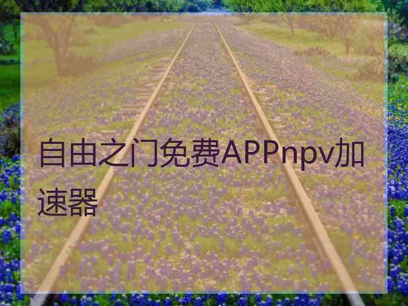 自由之门免费APPnpv加速器