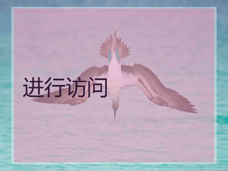 进行访问