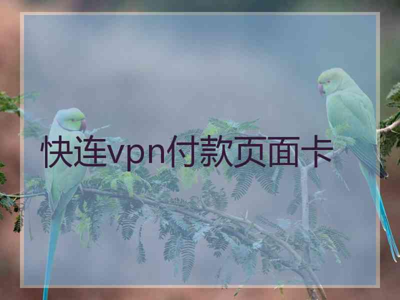 快连vpn付款页面卡