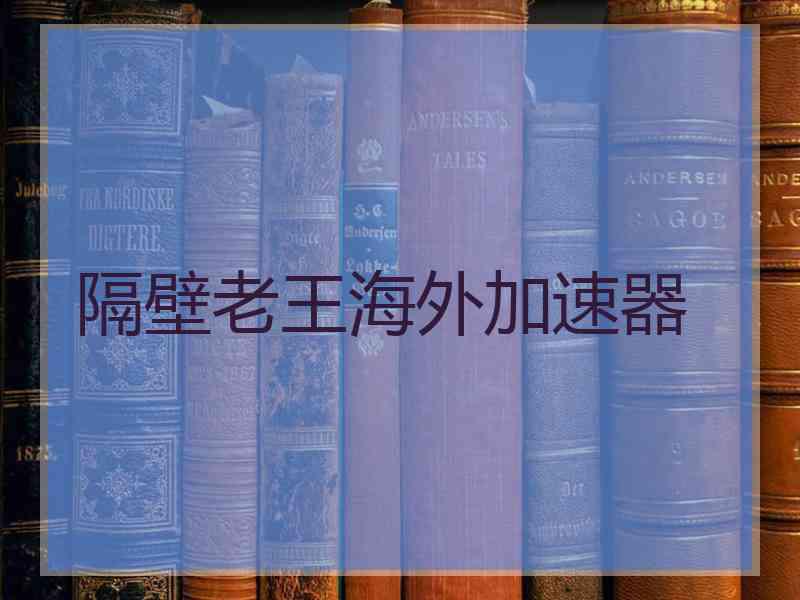 隔壁老王海外加速器