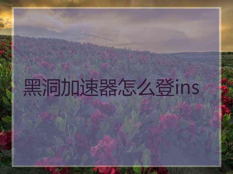 黑洞加速器怎么登ins