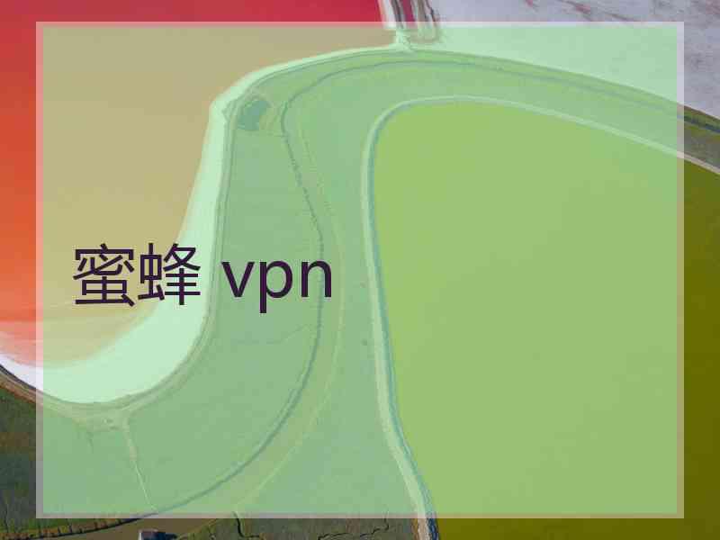 蜜蜂 vpn