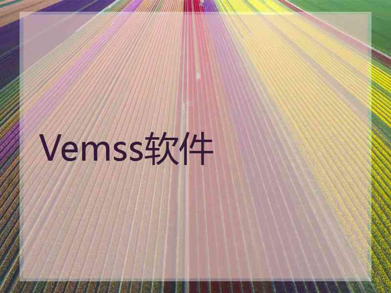 Vemss软件