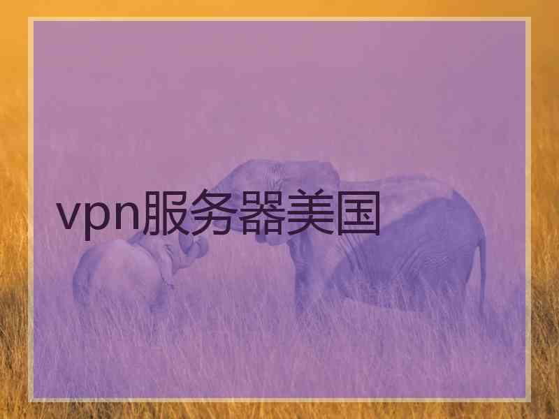 vpn服务器美国