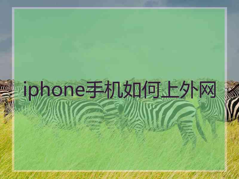 iphone手机如何上外网