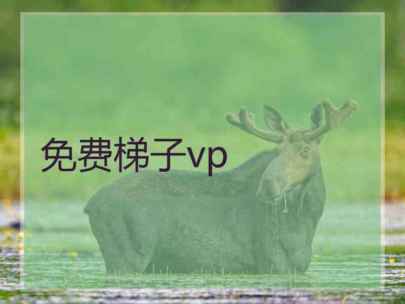 免费梯子vp