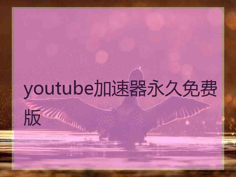 youtube加速器永久免费版