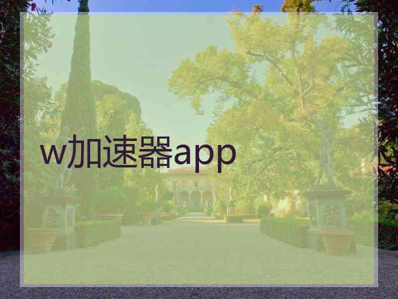 w加速器app