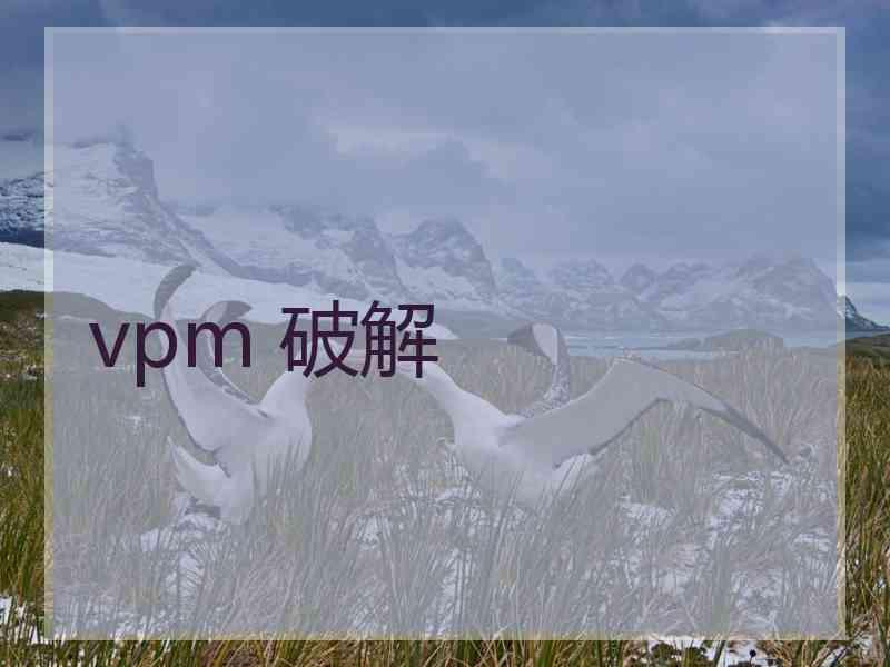 vpm 破解