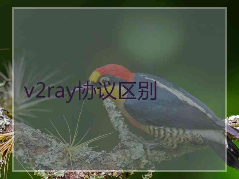 v2ray协议区别