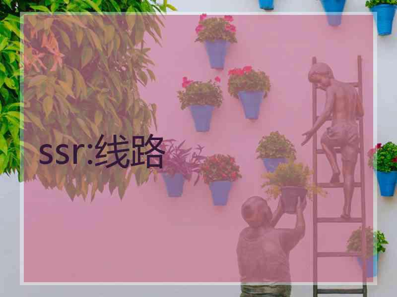 ssr:线路