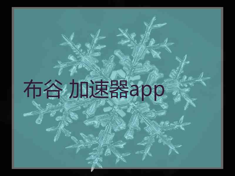 布谷 加速器app