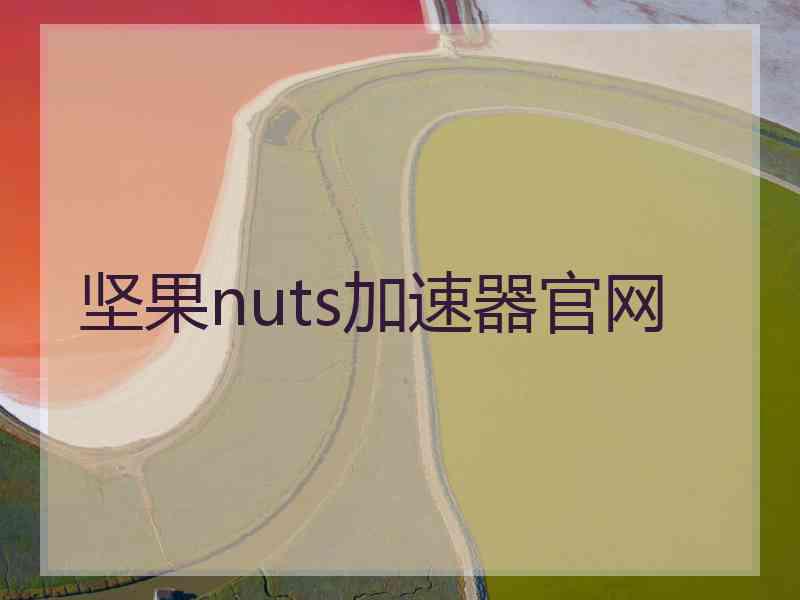 坚果nuts加速器官网