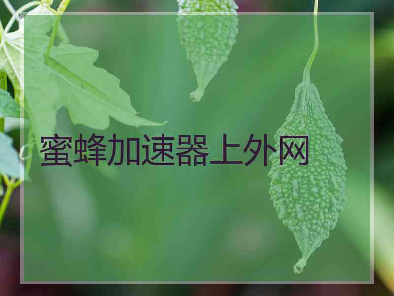 蜜蜂加速器上外网