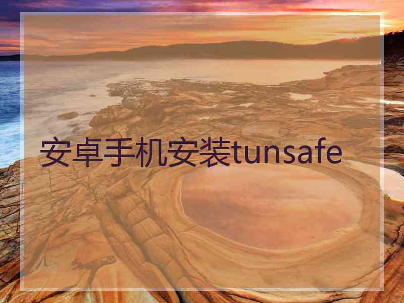 安卓手机安装tunsafe