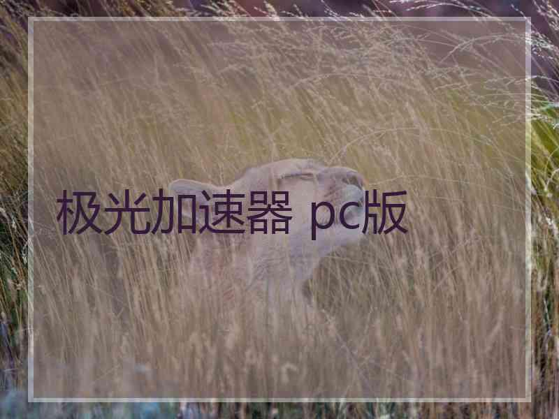 极光加速器 pc版