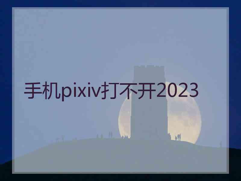 手机pixiv打不开2023