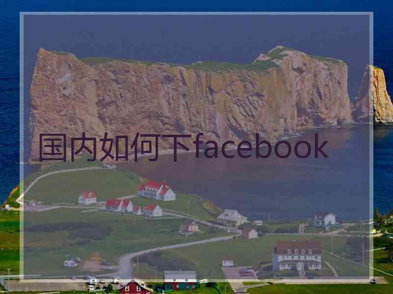 国内如何下facebook