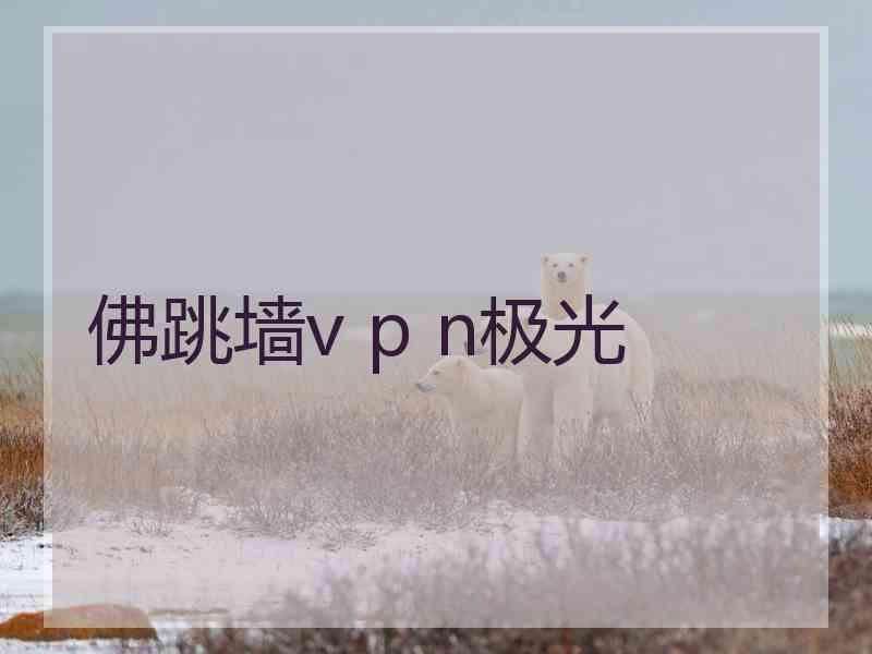 佛跳墙v p n极光