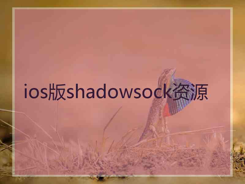 ios版shadowsock资源